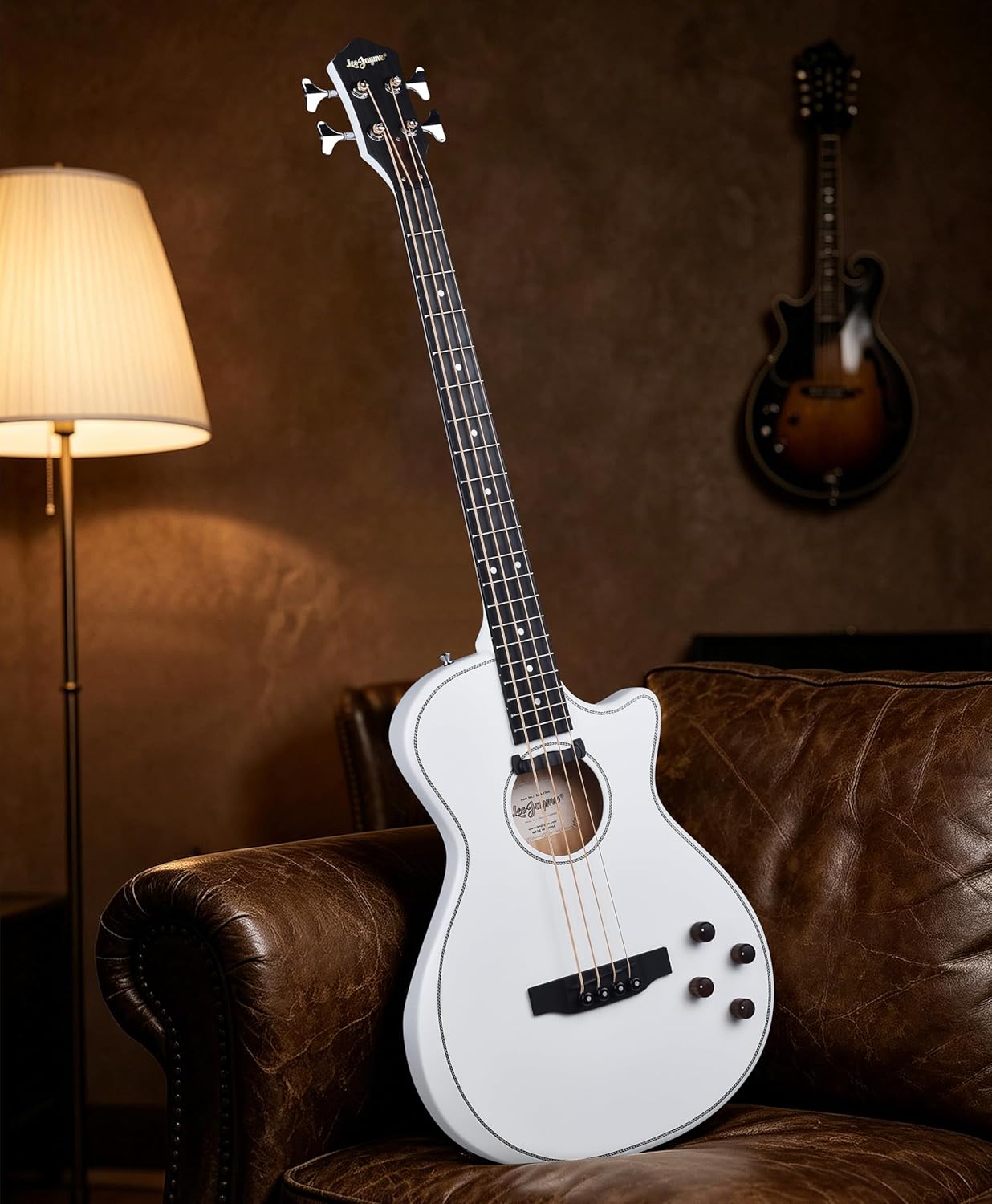 Acoustic Electric Bass - Pure White