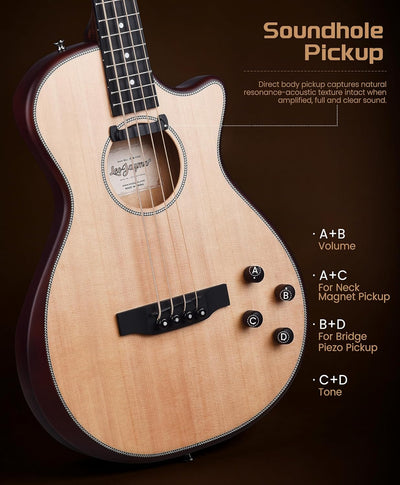 Acoustic Electric Bass - Spruce Top